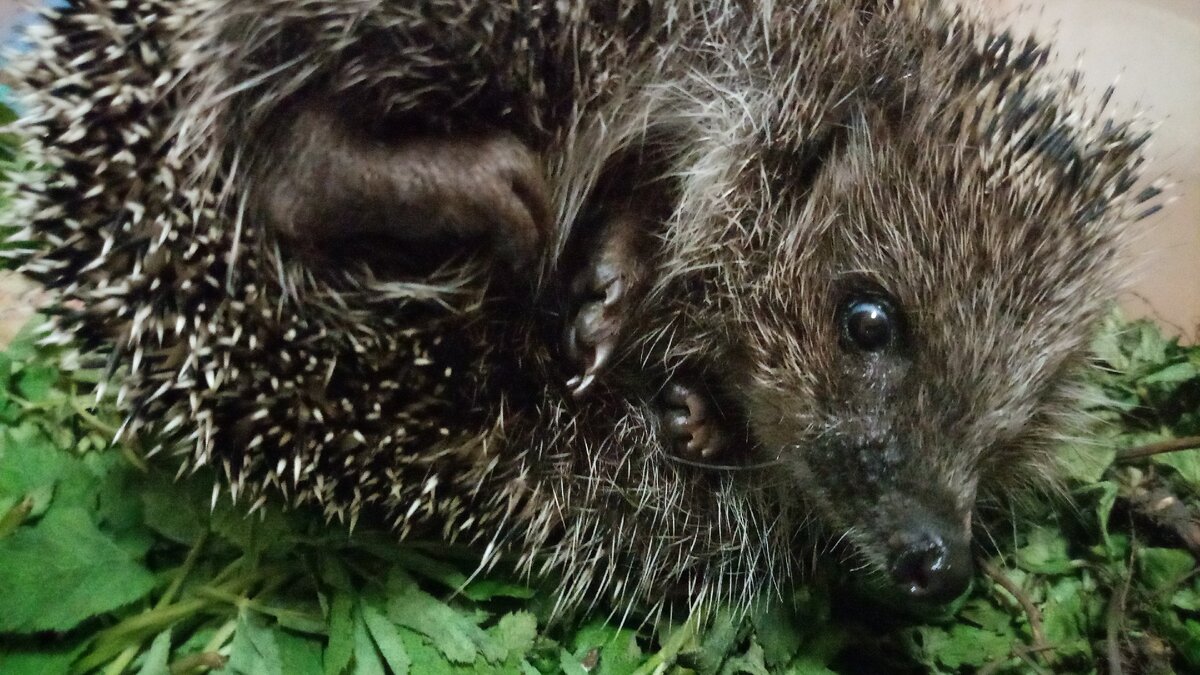 фото автора канала