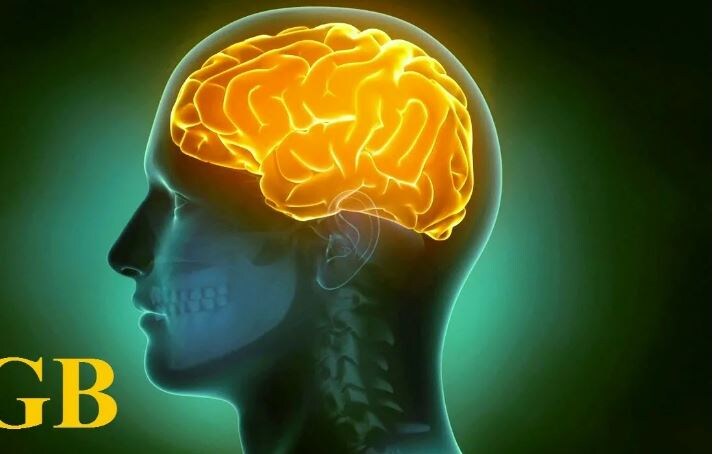 1,3 петабайт, только вдумайтесь!