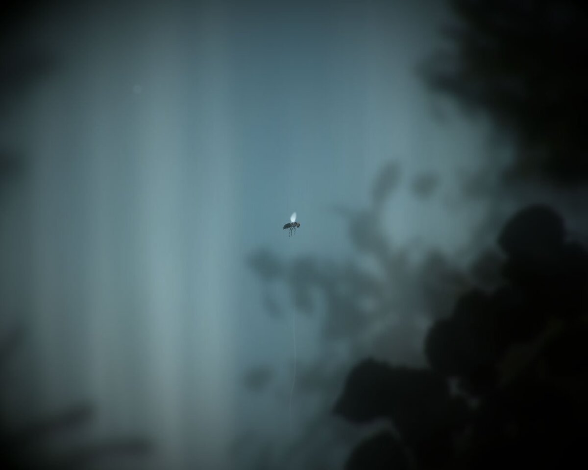 Скриншот из игры "The plan"