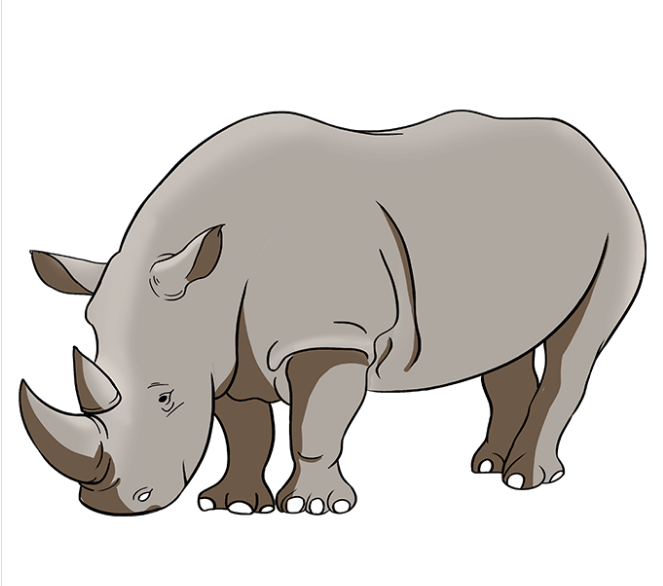 Как нарисовать носорога карандашами и красками поэтапно