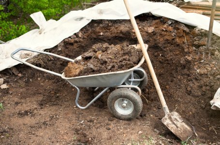 Для чего нужен навоз и как правильно применять его на дачеКак использовать навоз с максимальной эффективностью и какие культуры им подкармливать – отвечаем на самые популярные вопросы!