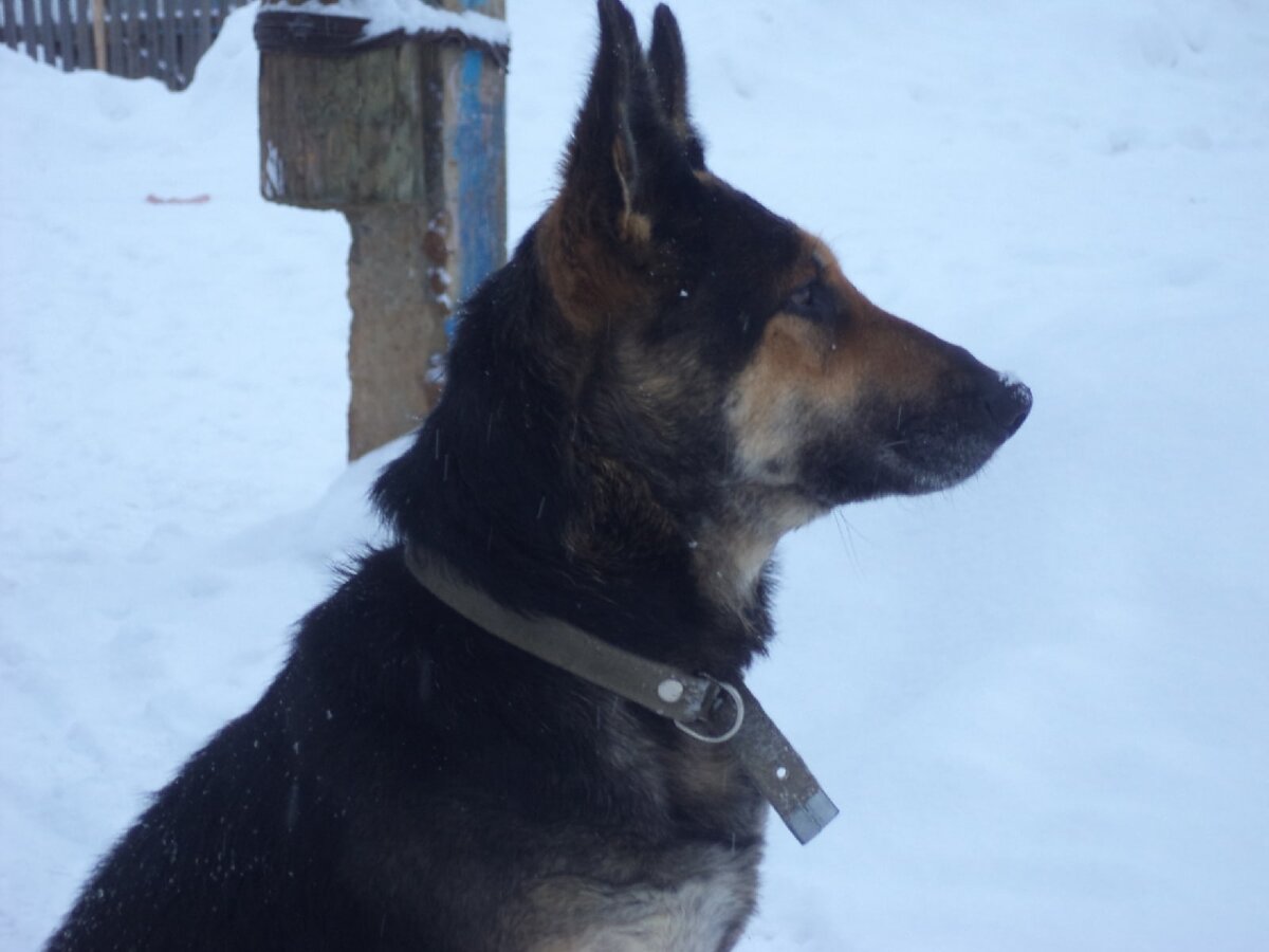 Найда потому, что была найдена. 