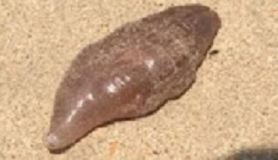 Источник: yandex.ru 