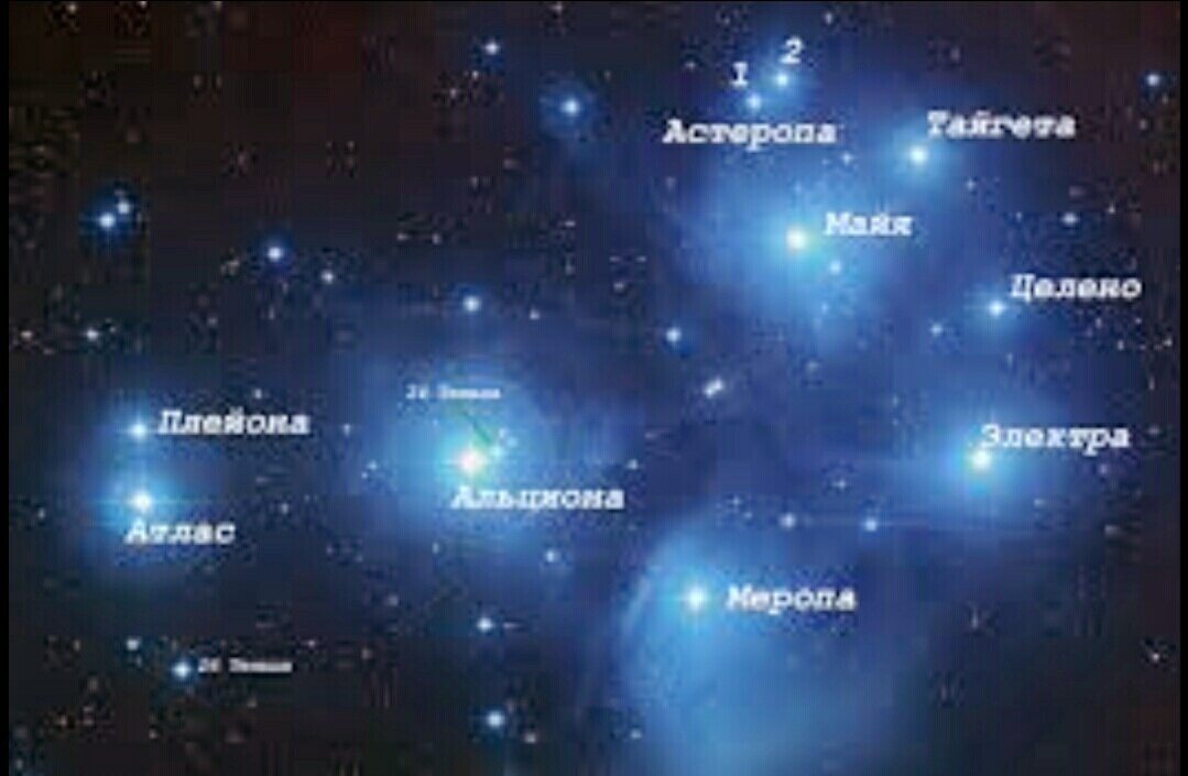 Плеяды. Фото из открытого источника.