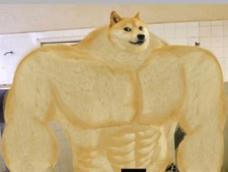 Оригинальный Доги