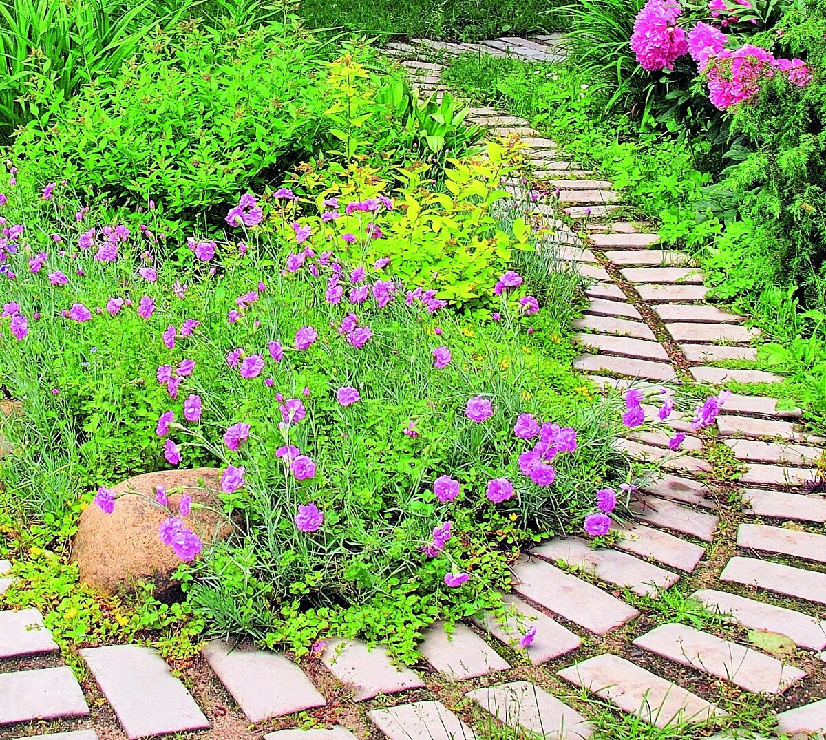 Текст Анны Красавцевой, фото Юрия Соловьева