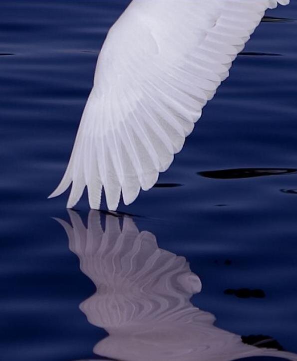 Фото из общедоступной сети Интернет