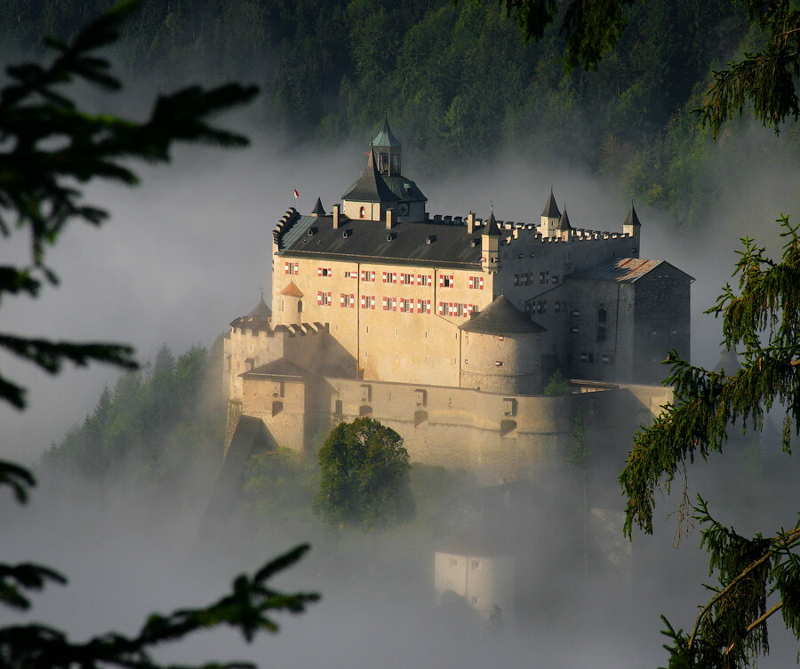 Фото из открытых источников