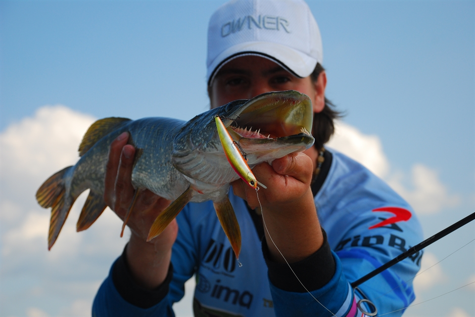 Мама всех приманок» – DUO MOAB – роллербейт. И ничего удивительного для тех, кто знаком с современной классификацией.