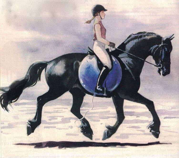 Конный спорт.