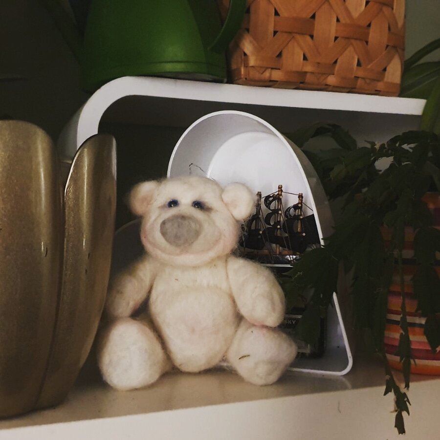 Мой медвежонок. Теперь живёт у сестры в Нидерландах