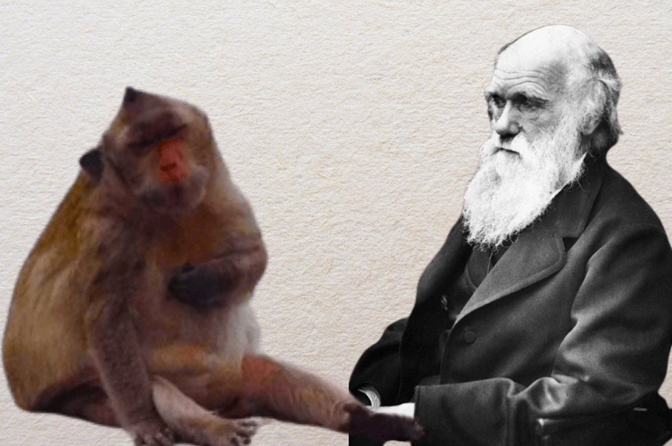 Картинка: Малява от Лоренца