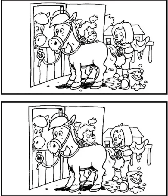   Найдите 7 отличий