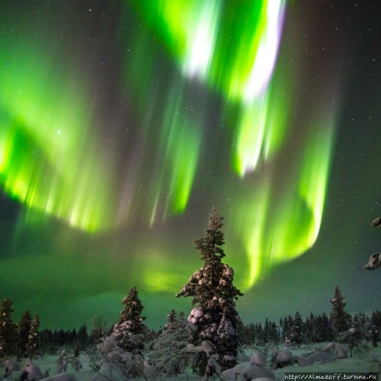 Северное сияние экскурсии Финляндия