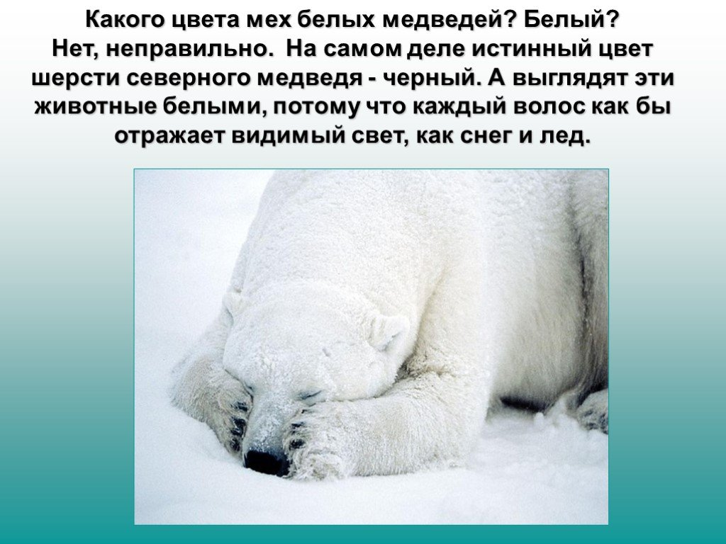 Шикарная негритянка в розовых колготках дает попробовать белому члену выебать ее очко