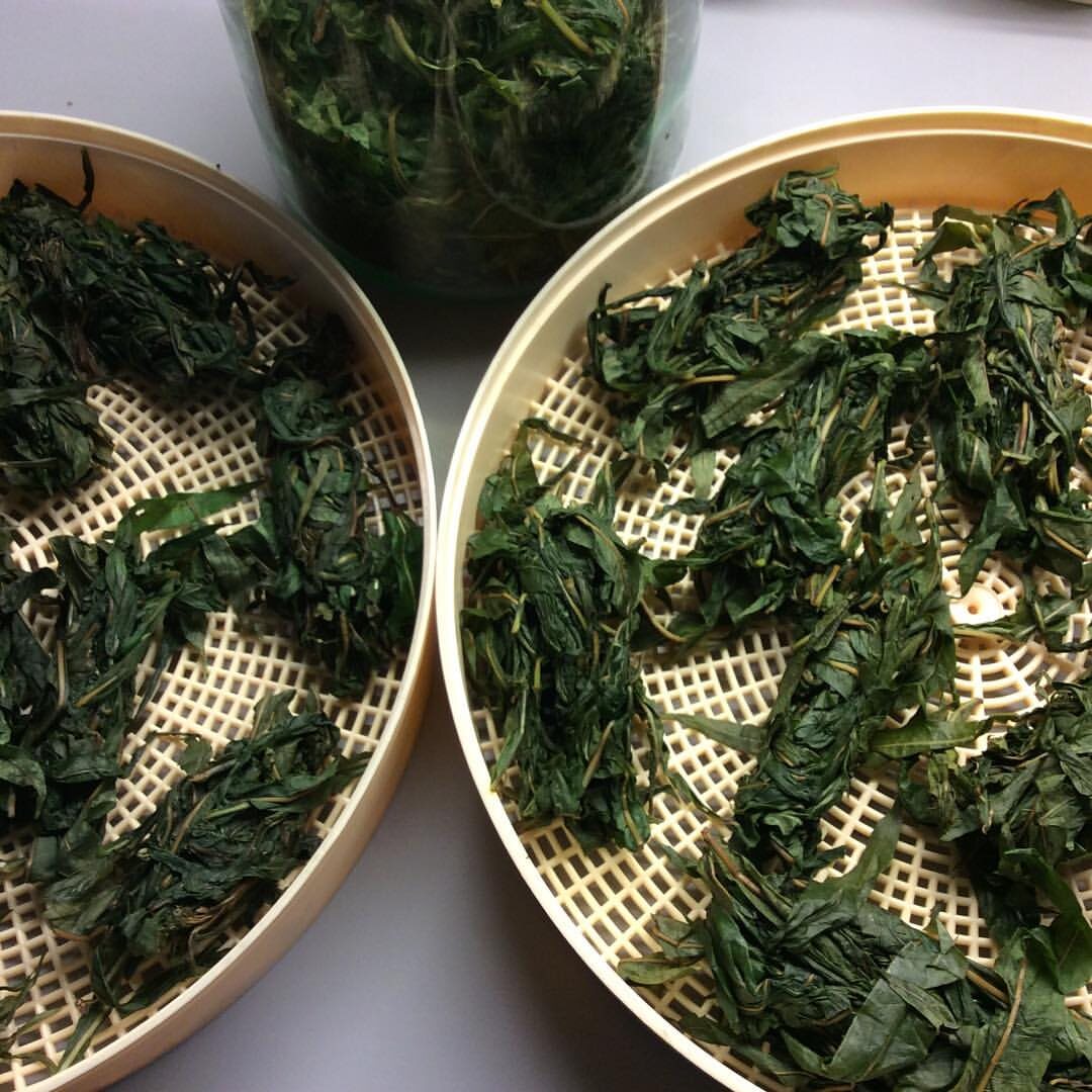 Иван-чай сушка.