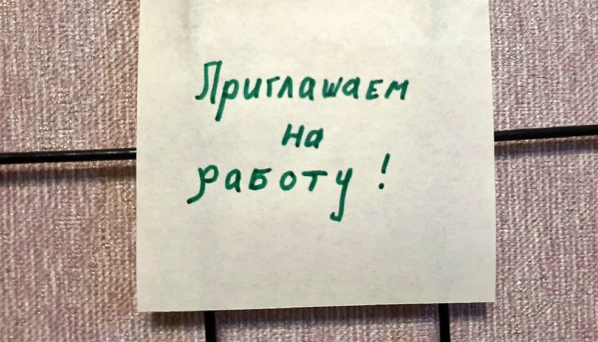 Какую работу мне предложил Центр Занятости? | Дневник безработной | Дзен