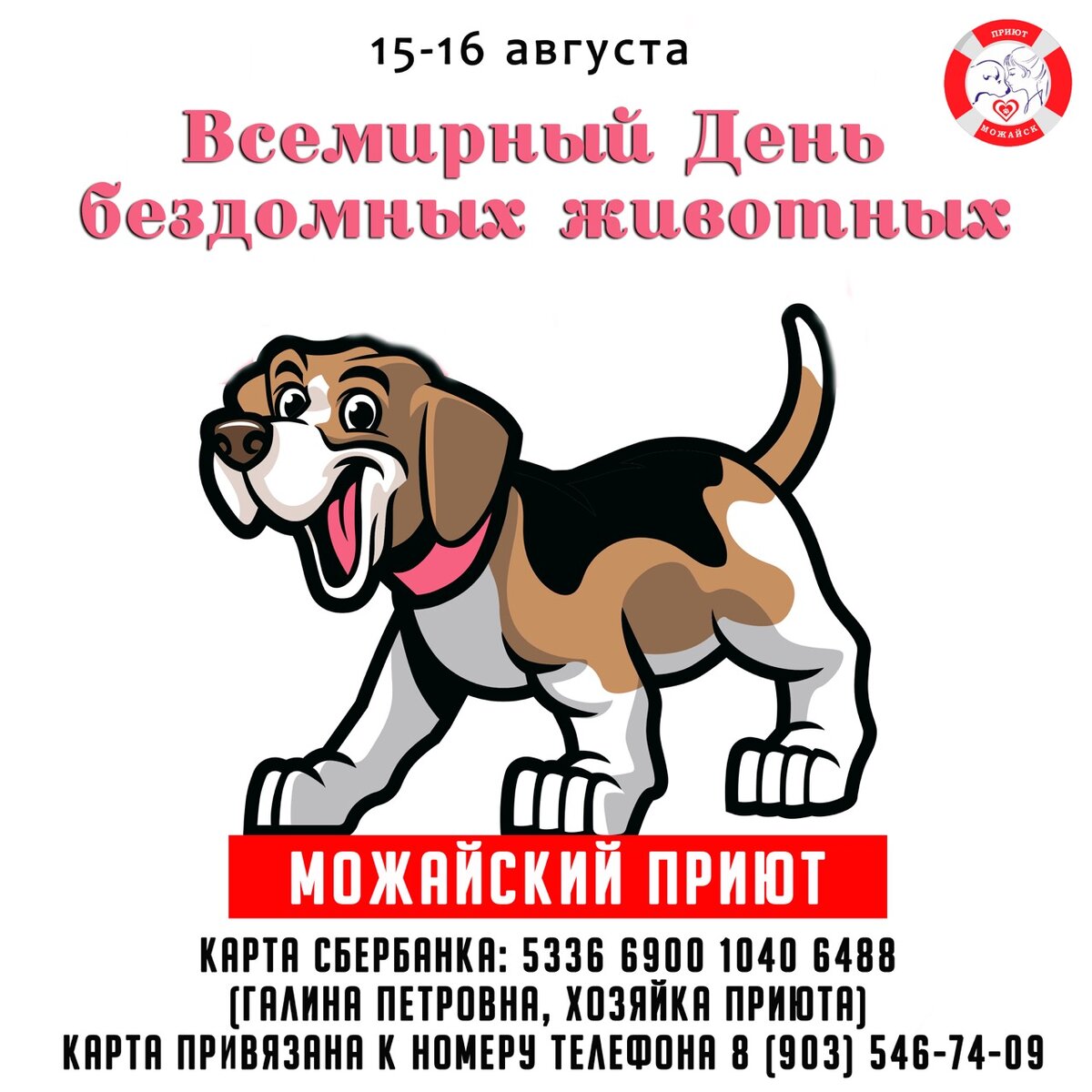 17 августа день бездомных животных