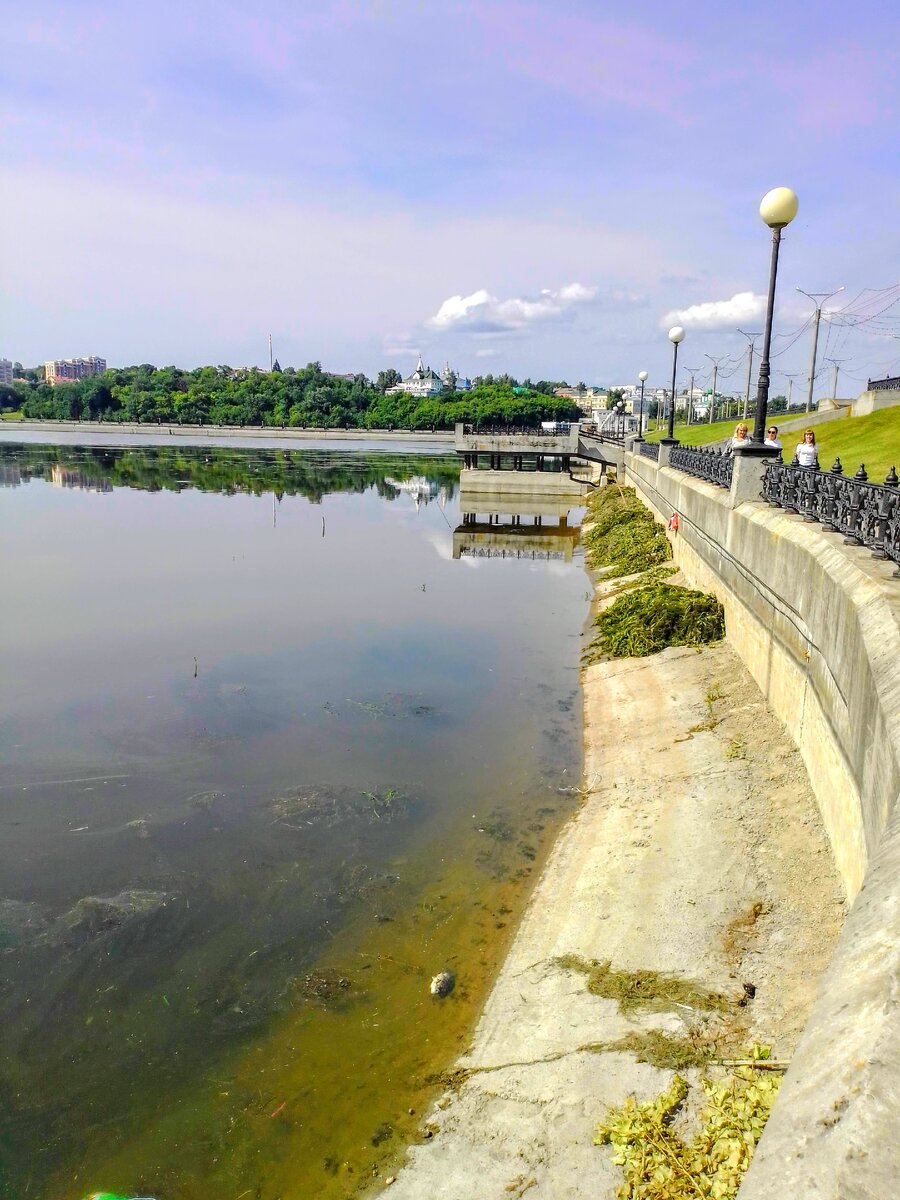 Огромные кучи водорослей уже достали, но это капля в море - вырастут еще.