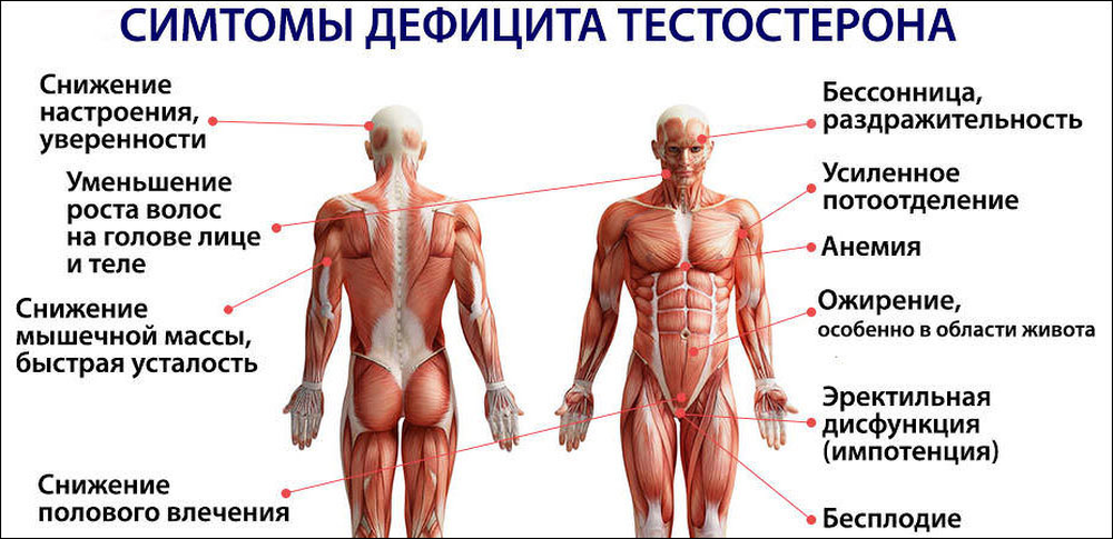 Диагностика и лечение низкого уровня тестостерона в Омске, скидка на прием 20%