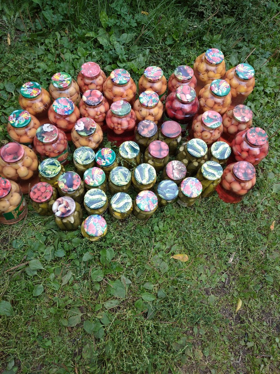 Личное фото автора. 