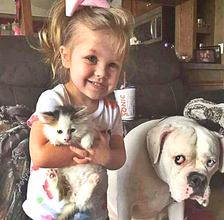 Ревнивый взгляд ни с чем не перепутать. 