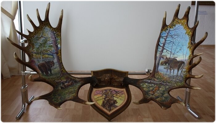 Трофейные рога — гордость охотника