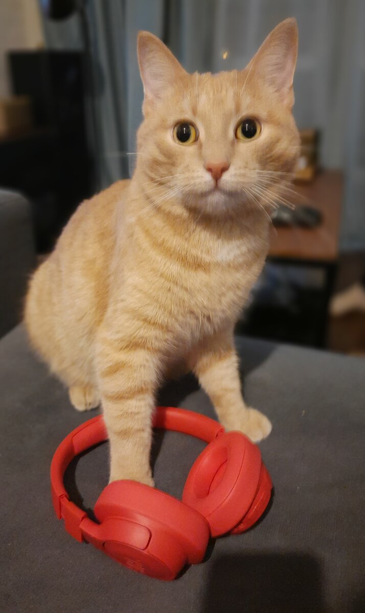 Фото старое. Но наушники еще живы))