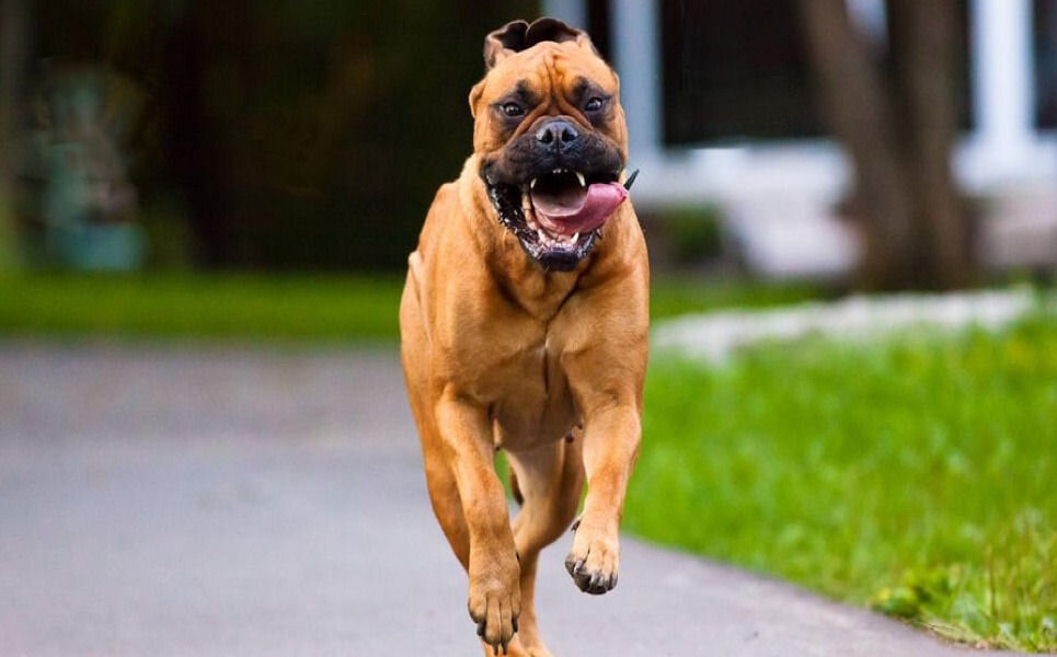 Фото: wallpapercave.com