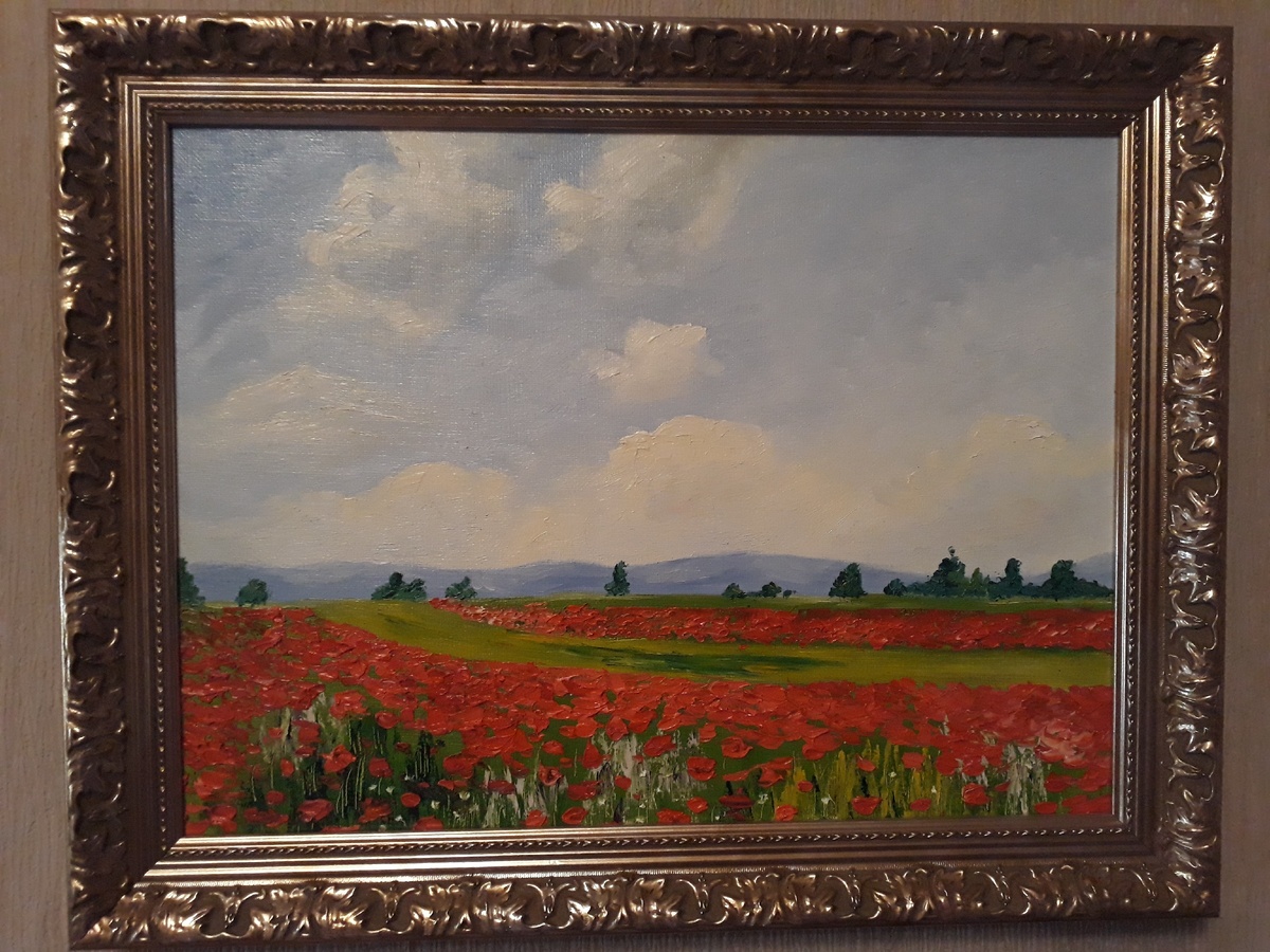  А на эти маки я смотрю, когда просыпаюсь утром.