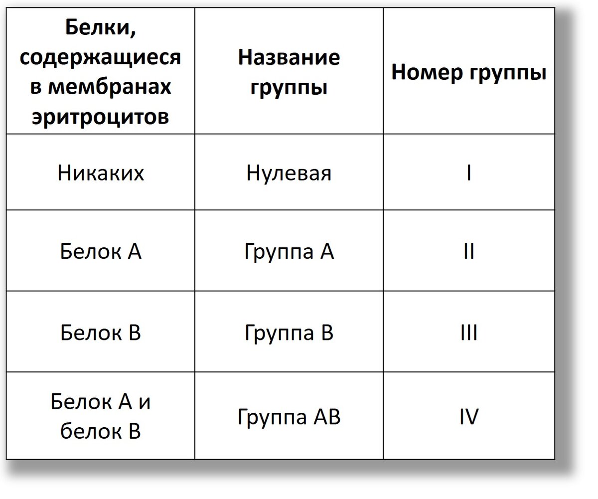 Чем группы крови отличаются друг от друга? | Генетика для всех | Дзен