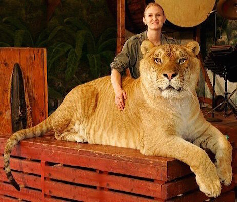 Фото: Guinness World Records