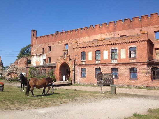 Фото из открытых источников Яндекса.