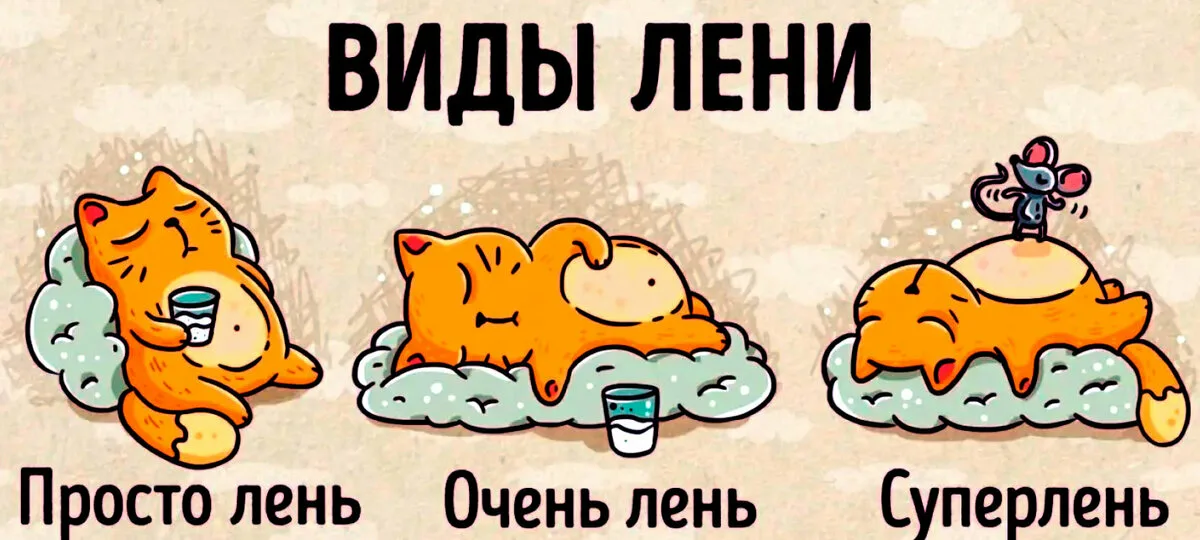 Прекрасная демонстрация моего продуктивного дня.
