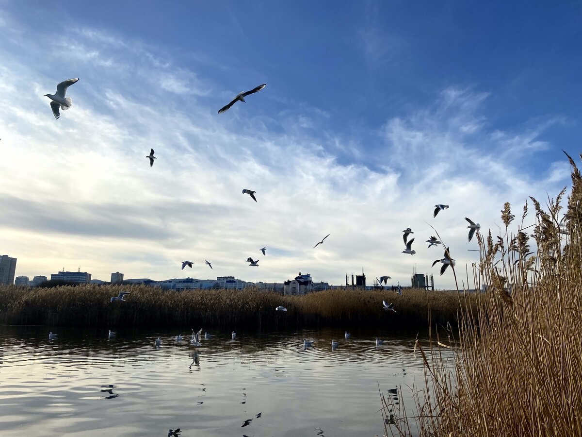 Соленое озеро на Суджукской косе