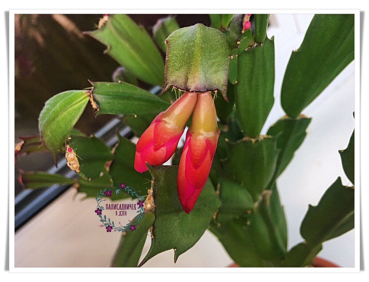 А когда сделала всё так, как им нравится, результат не заставил себя ждать.