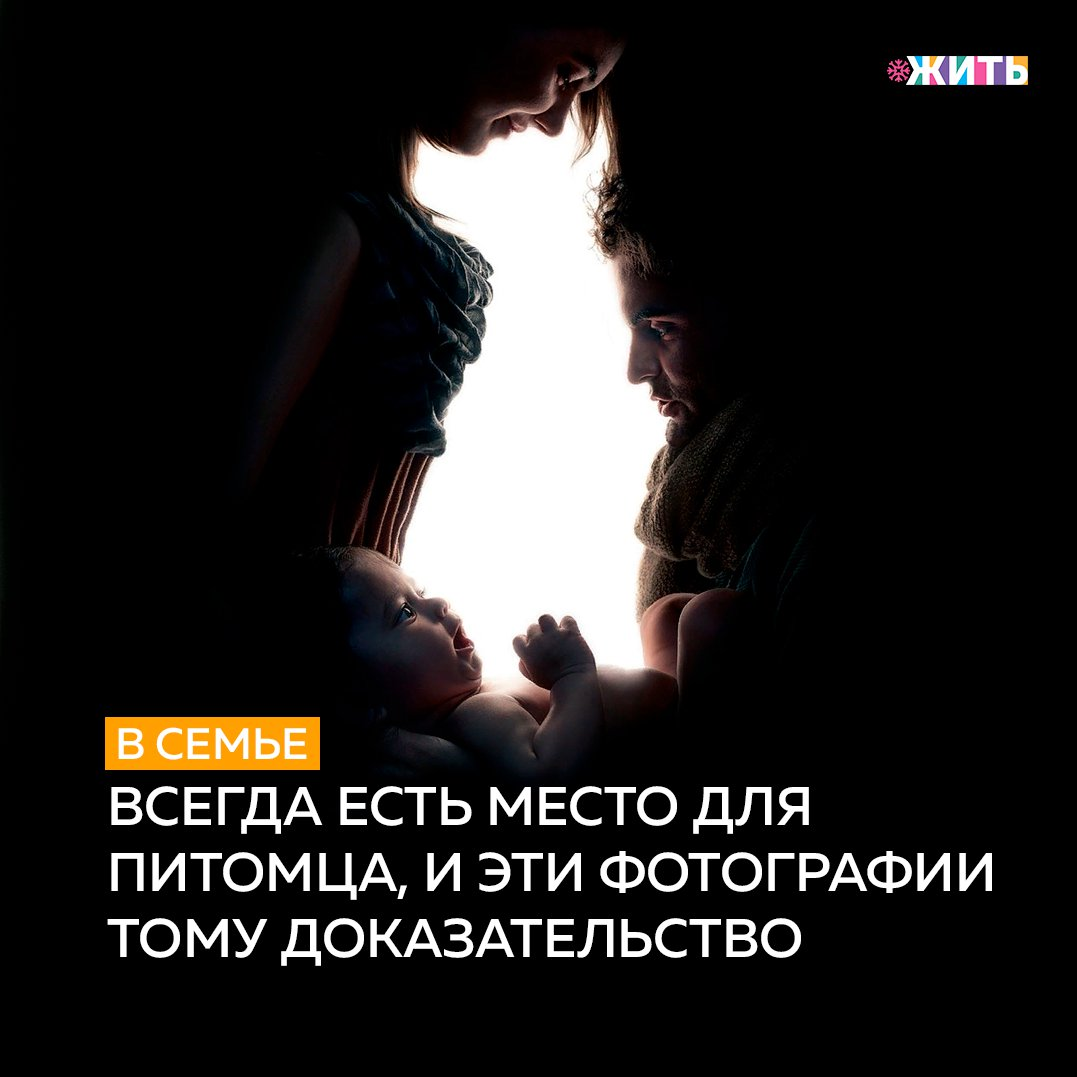 В приюты попадают разные животные, обычно это собаки и кошки, от которых в силу многих причин отказались их хозяева. Это животные, которые каждый новый день начинают в надежде, что их, наконец, отвезут в новый дом🤲 
К сожалению, их мечта не часто реализуется из-за человеческих предрассудков😞

Домашние животные, такие как собаки и кошки, отличаются своей способностью любить людей. Исследования показывают, что животные испытывают сильное чувство дружеской привязанности к своим хозяевам и улучшают практически все аспекты жизни владельца, включая его здоровье и даже взгляды на жизнь☝

То, как животные влияют на жизнь людей, является одной из причин того, почему почти в каждой семье должно быть домашнее животное. Однако, вместо того, чтобы тратить деньги на покупку этих удивительных животных из зоомагазинов, у потенциальных владельцев домашних животных есть более полезная возможность - взять животное из приюта😌

А у Вас уже есть домашний питомец? Если нет, то кого бы Вы хотели завести?

#жить #проектжить #животные
