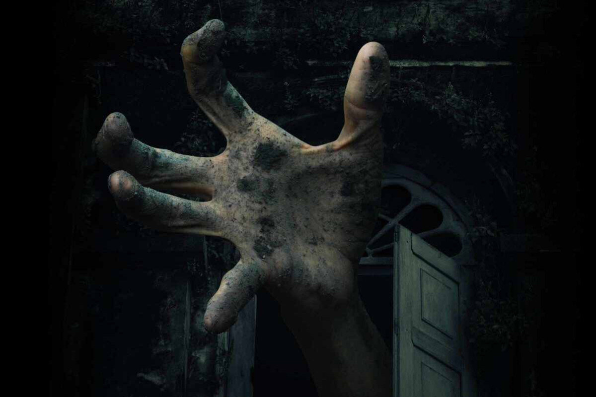 Изображение из интернета. 