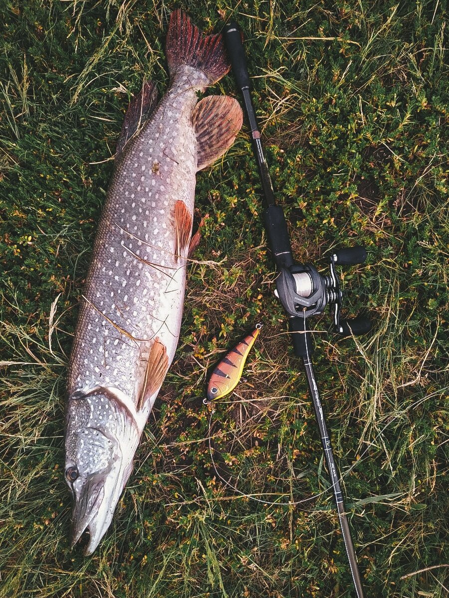 мастер ловли. рыбалка в пензе. силикон на щуку. мастер ловли. мастер рыбак.