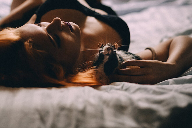 Фото: pixabay.com