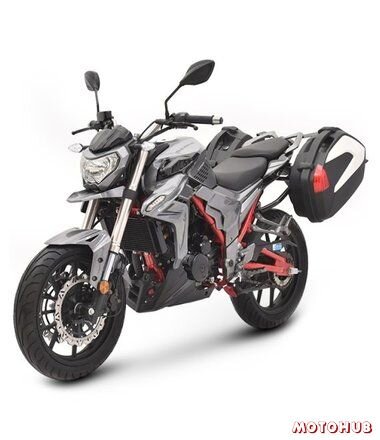 Regulmoto T-Leopard 300