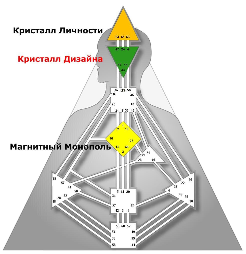 Карта жизни по дизайну человека