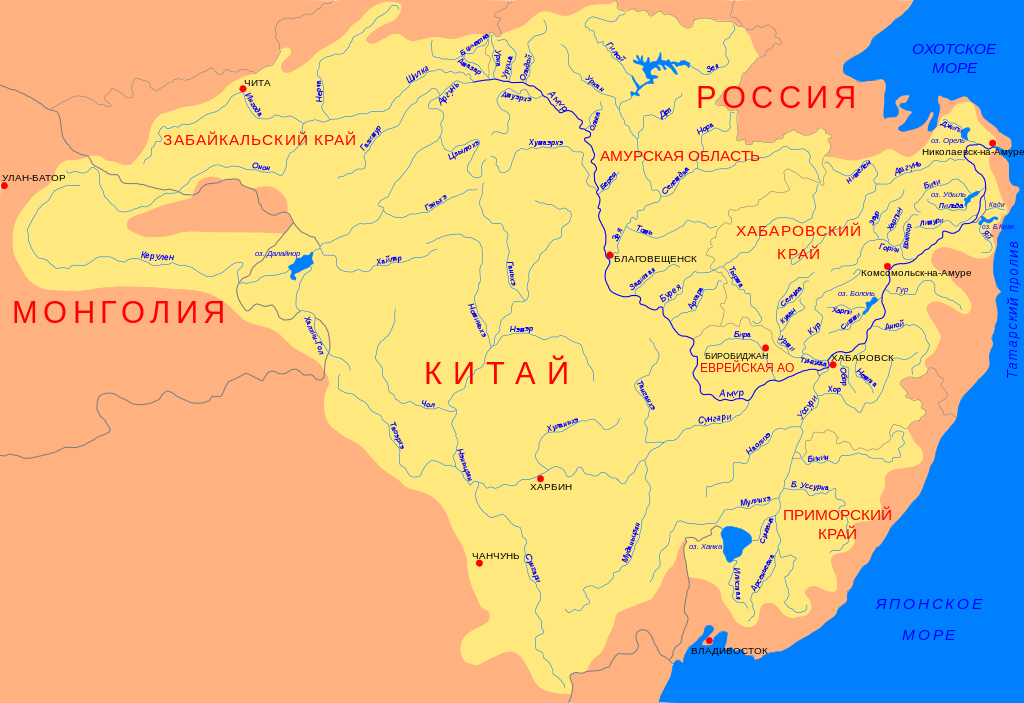 Википедия: борьба с загрязнением Амура возможна только совместно с Китаем