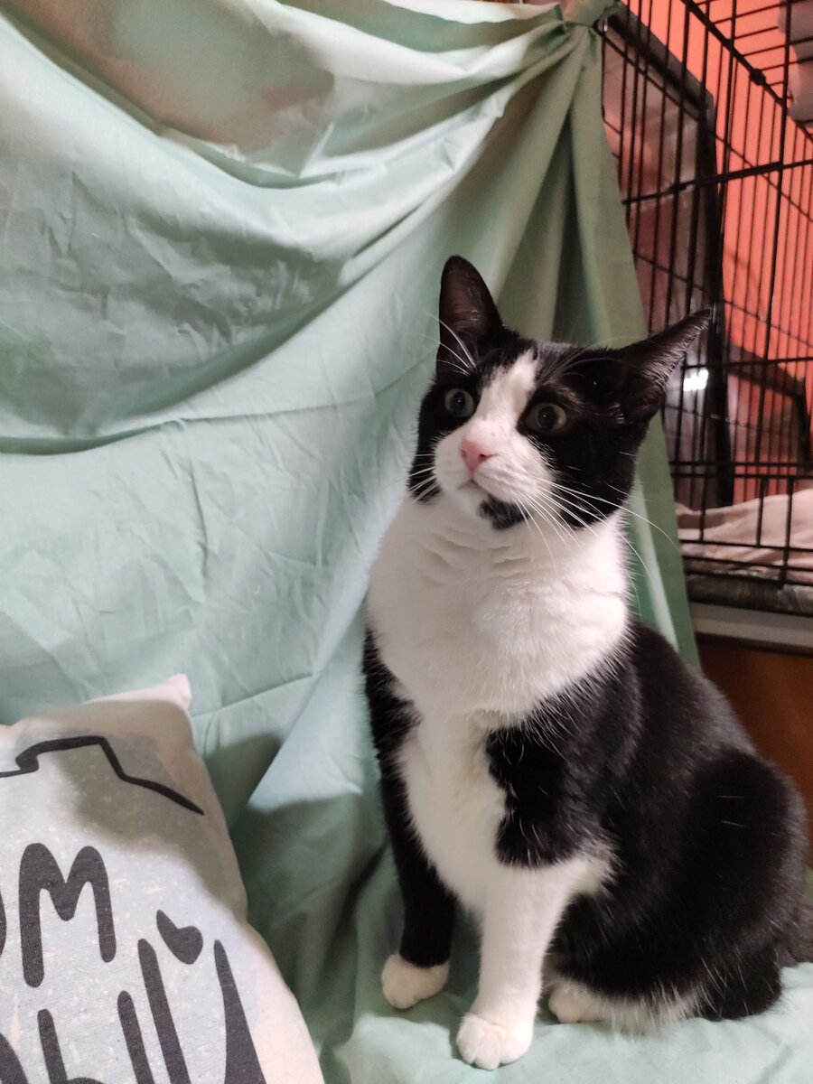 Фотосессия Пеппи как есть))