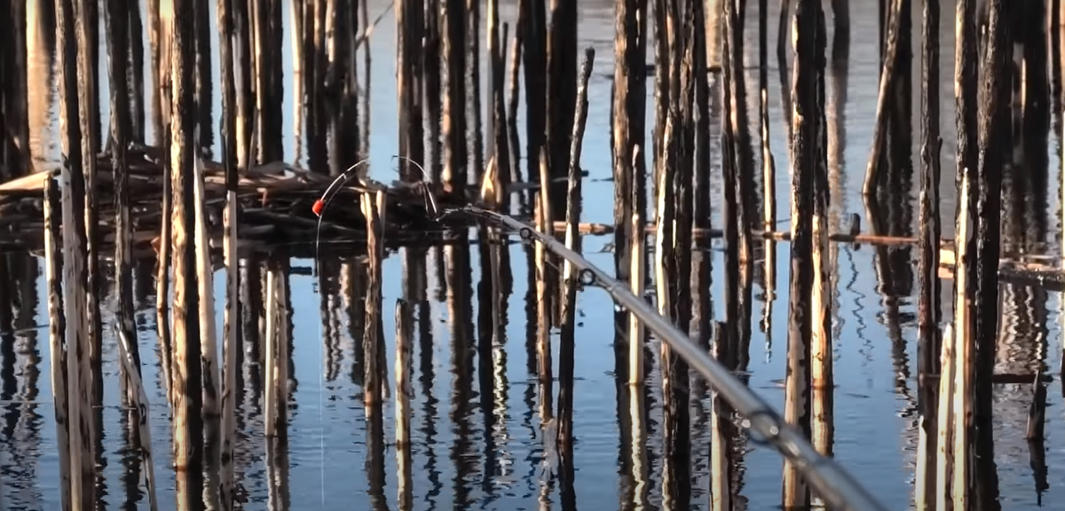 Боковой кивок