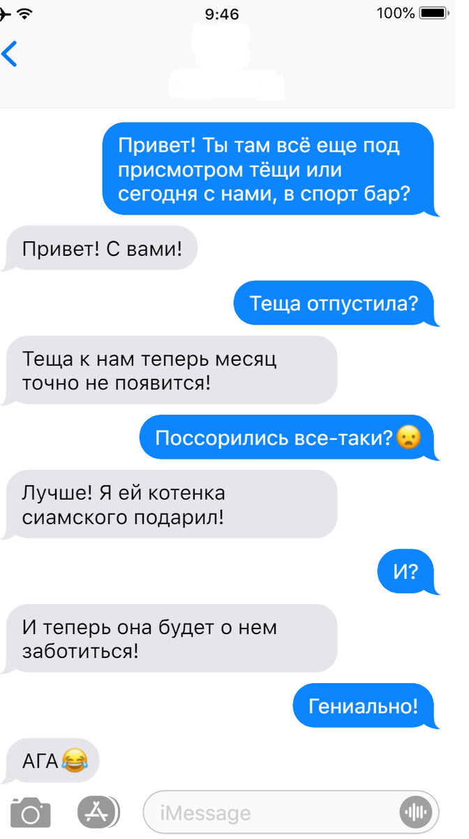 Записки ветеринара. На что только не пойдет мужчина, чтобы избавиться от  тещи. Смешные переписки (а может советы) | СобачьЯ жизнь | Дзен