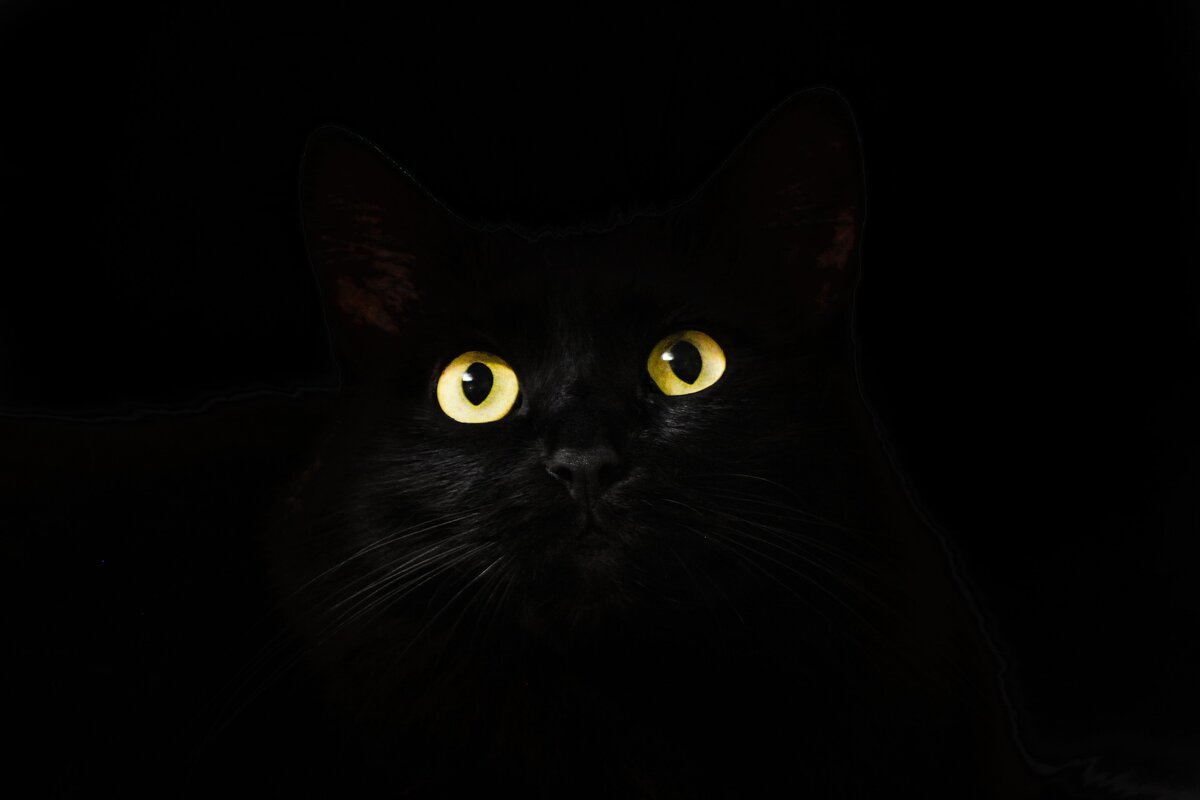 2. Image by Михаил Прокопенко from Pixabay 