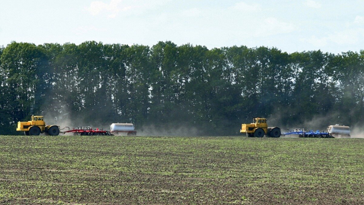 Подкормка озимых культур. Подкормка озимых. Посев зерновых. Подкормка озимых. Подкормка озимых фото.