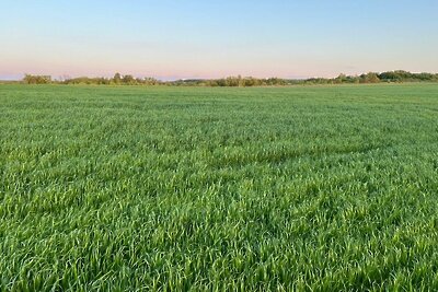    Земельный участок © Сайт Министерства имущественных отношений Московской области