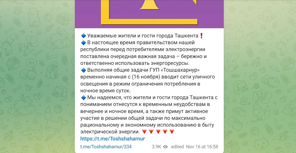 Скриншот Telegram-канала «Ташгорсвет»